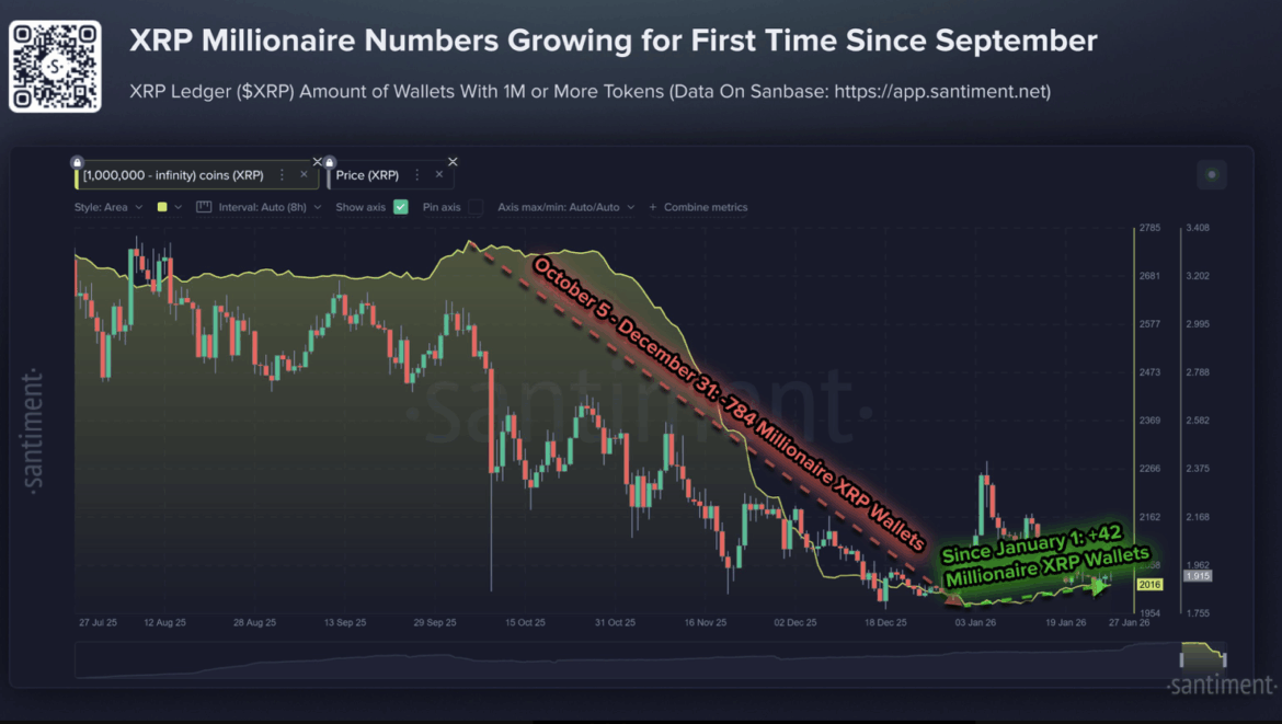 XRP 'Millionaire' Wallets Ramp Up In An 'Encouraging Sign'
