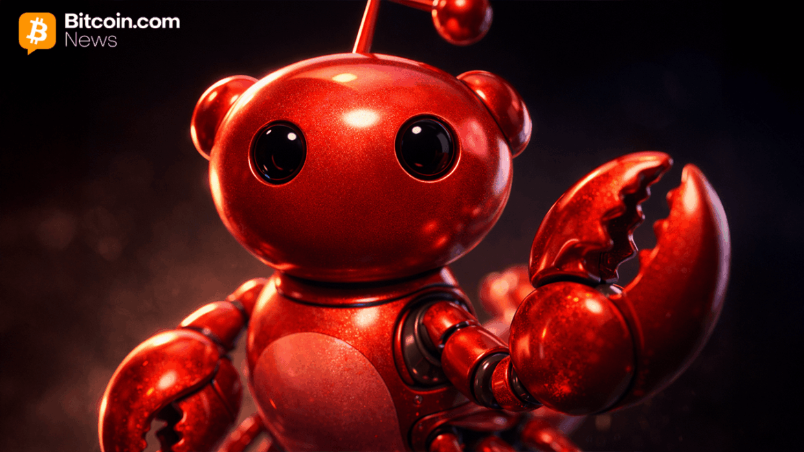 Moltbook: How AI Agents Ended up Building Their Own Social Network