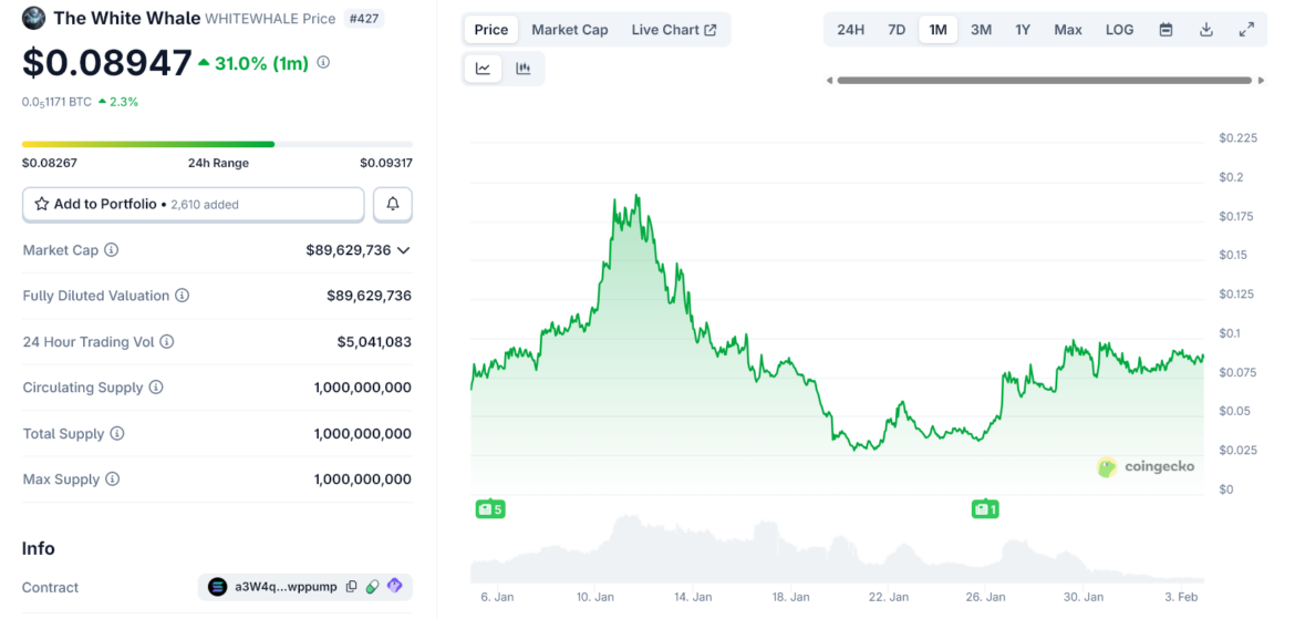 Solana’s White Whale: Rug Pull, Trap, or the Perfect Meme Coin?