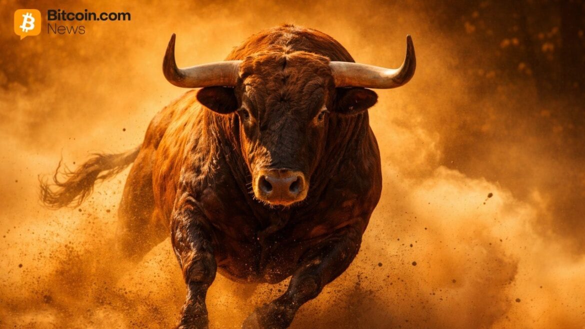 Crypto Bull Run Forming as 9 Major Forces Align, Bitwise Says