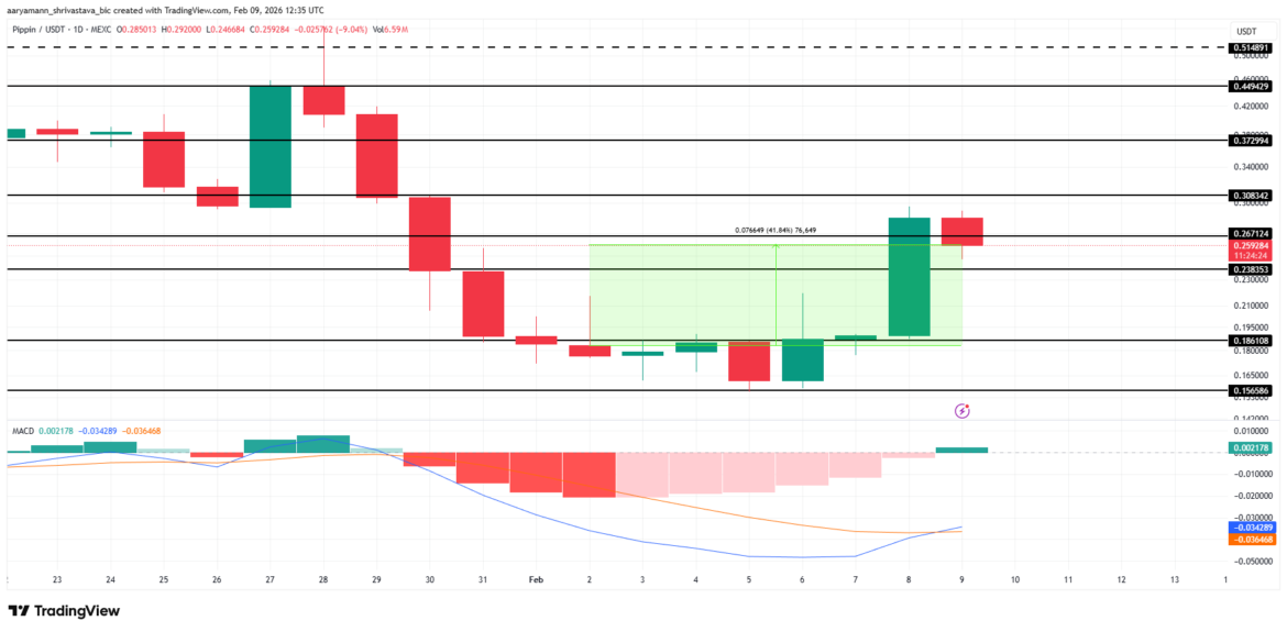 PIPPIN Price Analysis. 